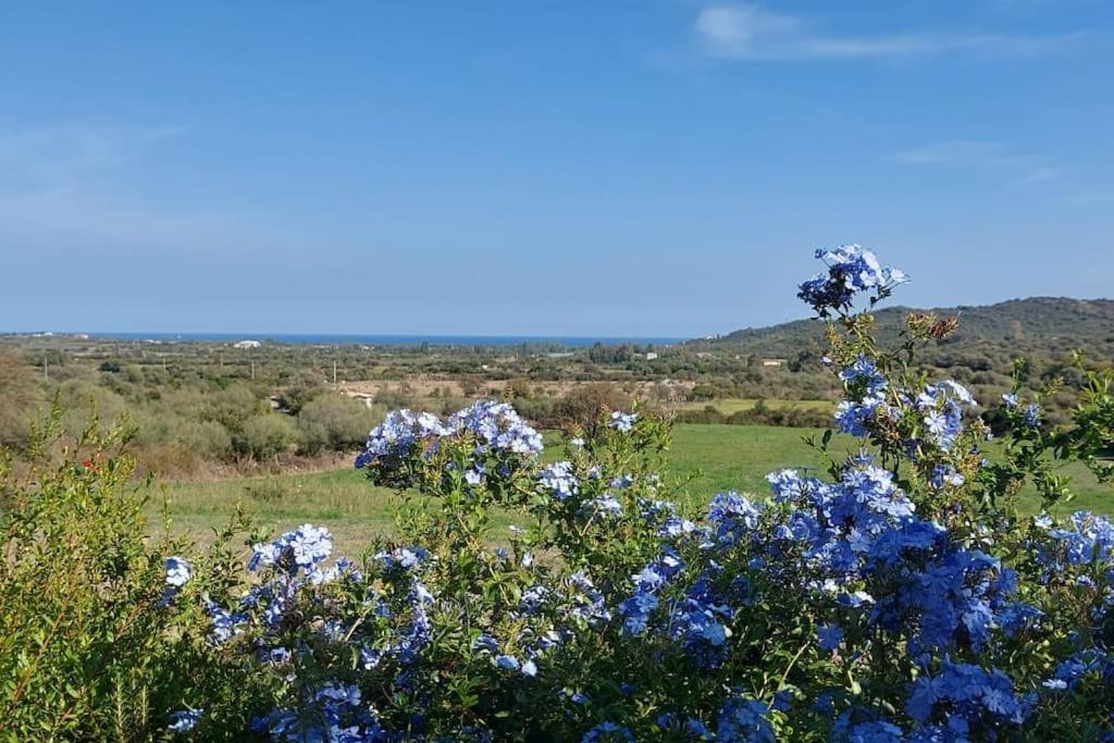 La Casa Di Eve Villa Budoni Kültér fotó