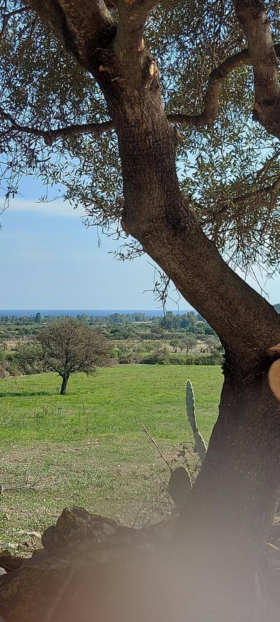 La Casa Di Eve Villa Budoni Kültér fotó