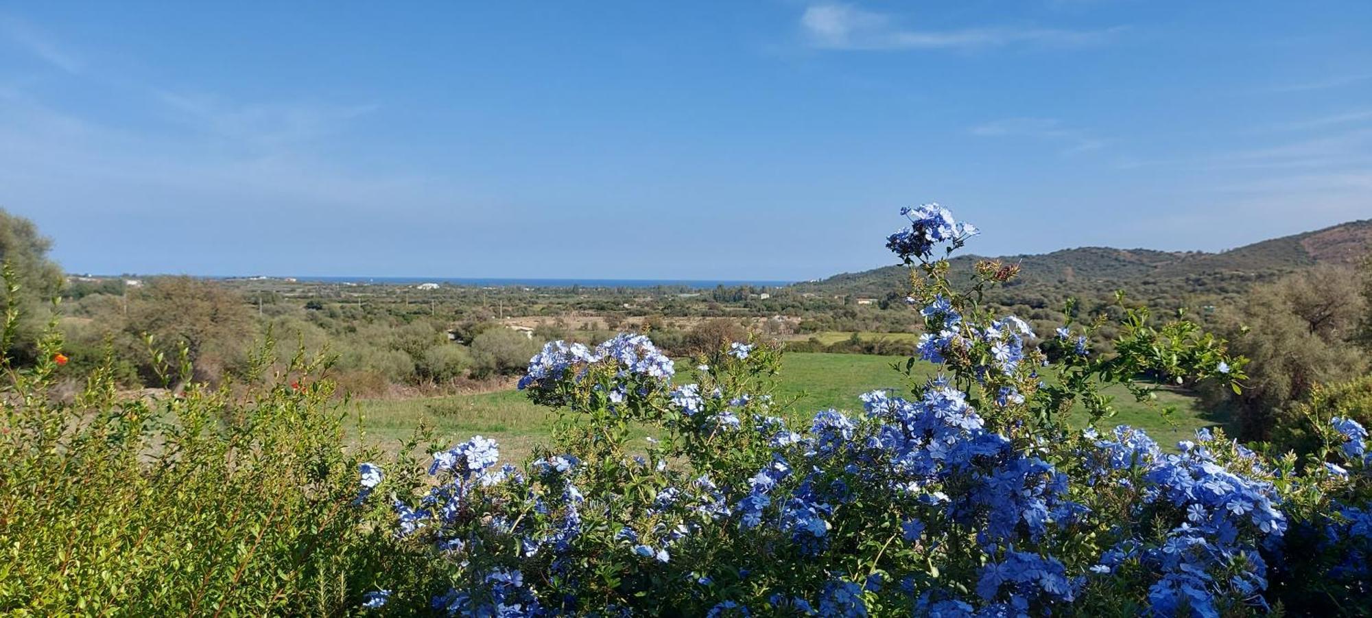 La Casa Di Eve Villa Budoni Kültér fotó